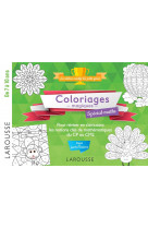 20 coloriages magiques special maths, cycle 2