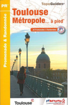 Toulouse metropole a pied 2014 - 31 - pr - p311