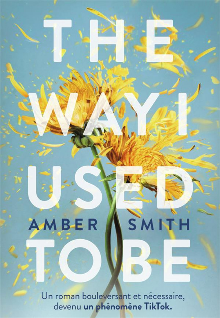 THE WAY I USED TO BE - SMITH AMBER - GALLIMARD