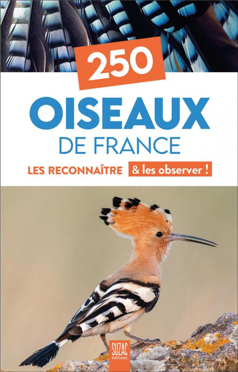 250 OISEAUX DE FRANCE - LES RECONNAITRE & LES OBSERVER ! - COLLECTIF - DU LUMIGNON