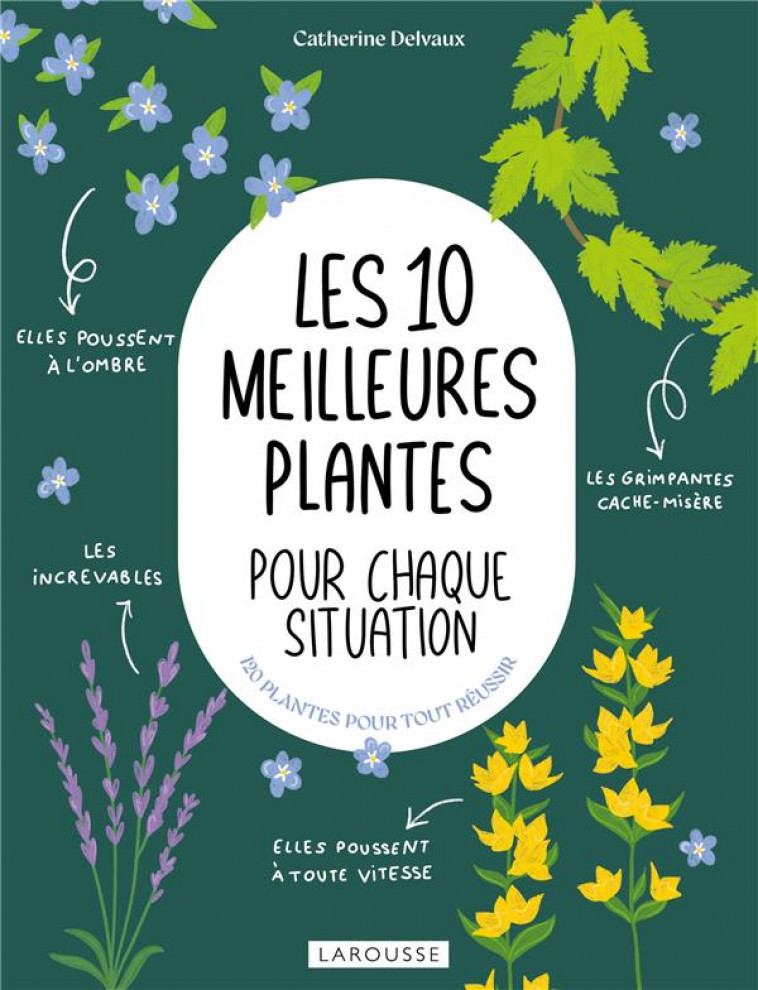 LES 10 MEILLEURES PLANTES POUR CHAQUE SITUATION - DELVAUX CATHERINE - LAROUSSE